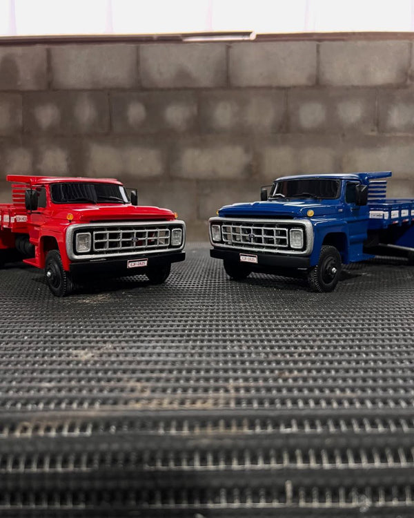 Combo Ford F-11000 (2 unidades) - Escala 1/24
